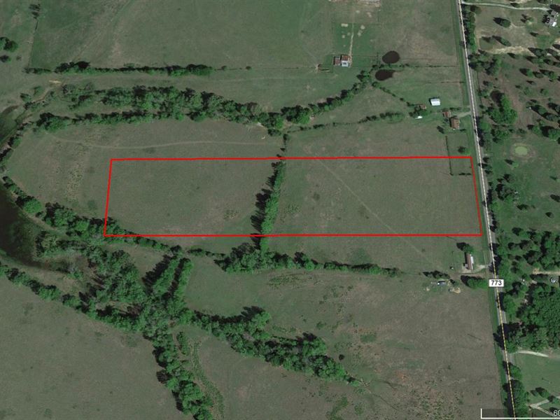 Nice 12.3 Acre Tract : Ben Wheeler : Van Zandt County : Texas
