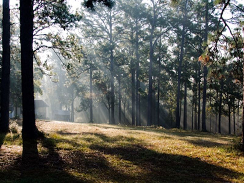 Acre of Peace and Quiet in Alford : Alford : Jackson County : Florida