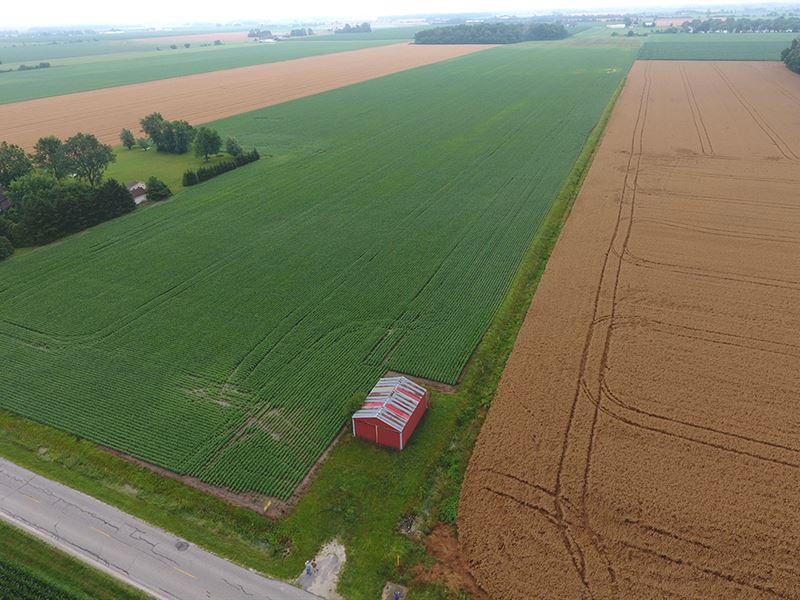 Highly Tillable Ohio Farmland : Perrysburg : Wood County : Ohio