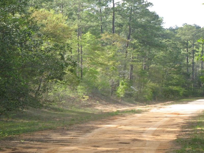 Spacious Corner Lot in Compass Hill : Marianna : Jackson County : Florida