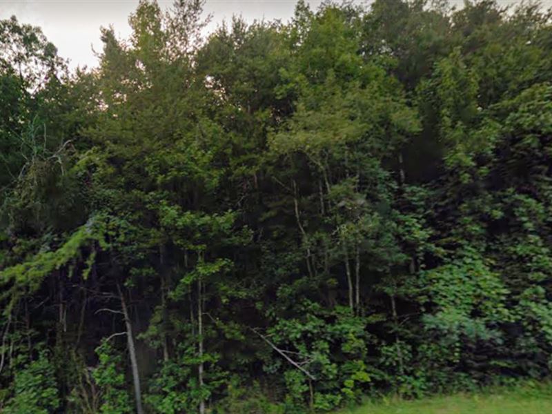 Unrestricted Natural Beauty, Fsbo : Crossville : Bledsoe County : Tennessee