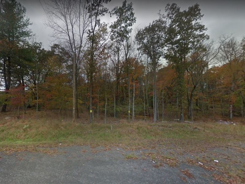 .37 Acre in Pike County, PA : Dingmans Ferry : Pike County : Pennsylvania