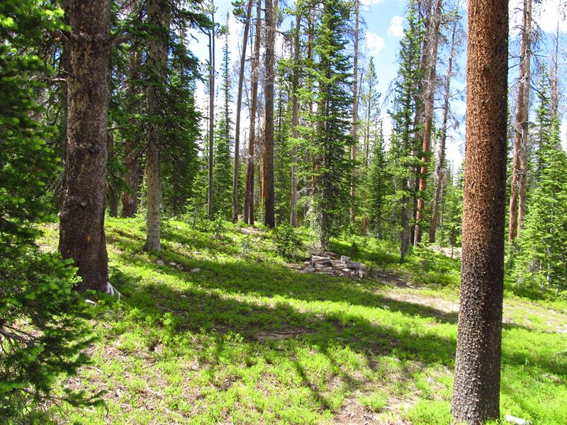 Tract in Overlook Retreat : Elk Mountain : Carbon County : Wyoming