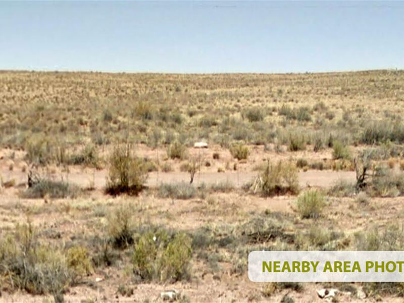 Sun Valley Desert Escape : Holbrook : Navajo County : Arizona