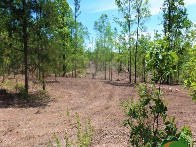 Big Clearing, Pond, & Electric : Thomasville : Oregon County : Missouri