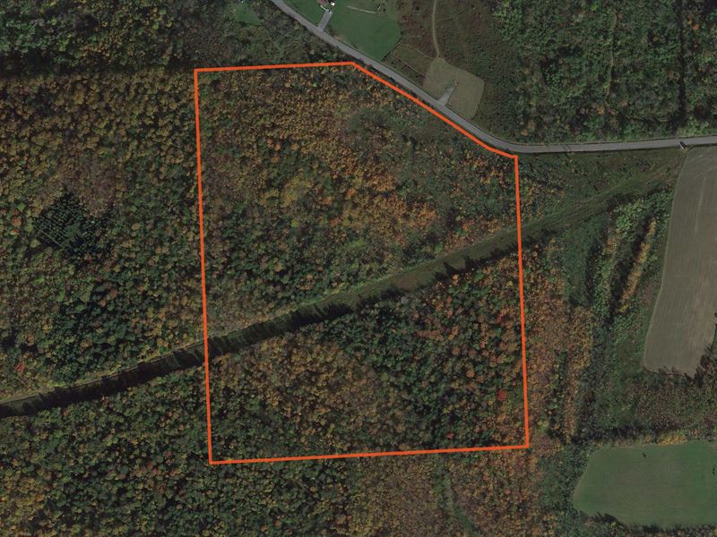 Country Acreage with Woods : Nelson : Madison County : New York