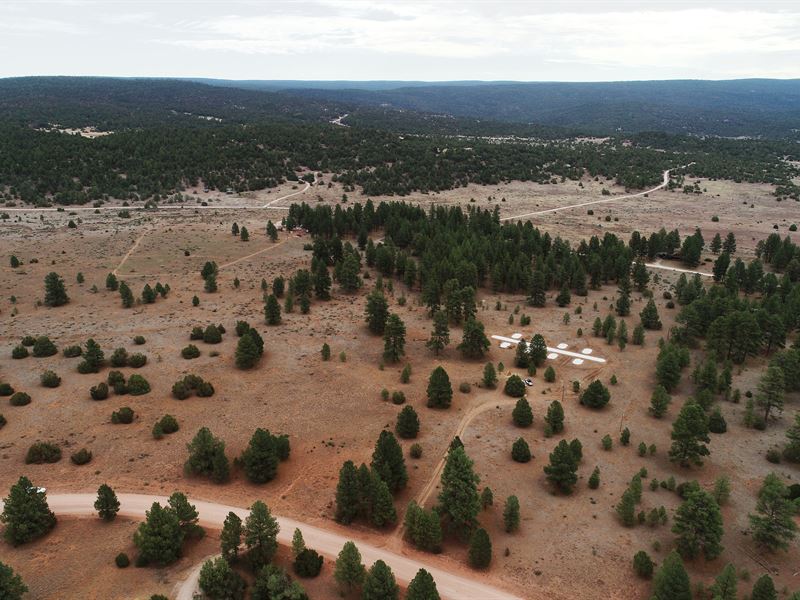 Rocks, Cliffs, and Trees on 5.6 ac : Ramah : McKinley County : New Mexico