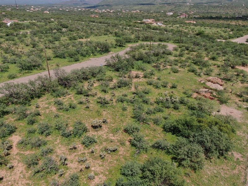 .25 Acre with Power at Road : Rio Rico : Santa Cruz County : Arizona