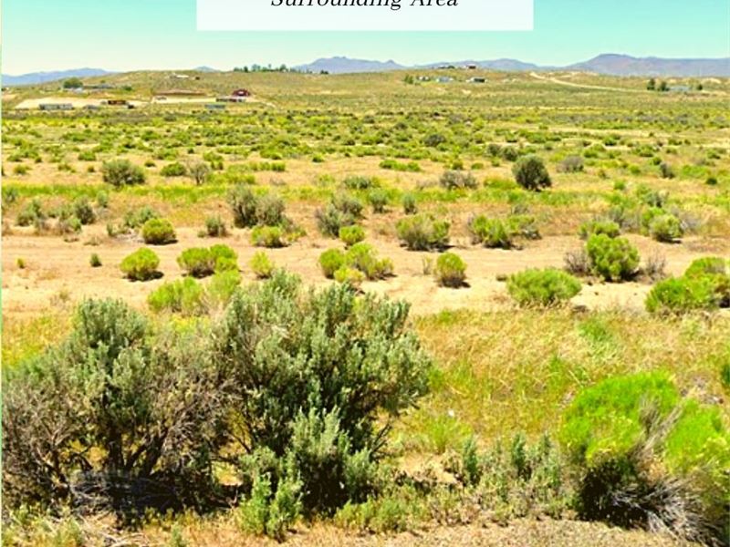 2.06 Ac Only $1 Down, $199/Mo : Elko : Elko County : Nevada