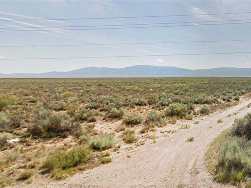 Quarter Acre or Two Adjoined Lots : Belen : Valencia County : New Mexico