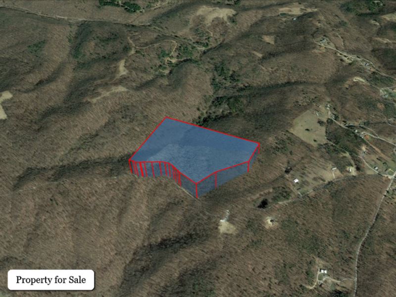 A Cozy 30 Acre Hidden Gem : Princeton : Mercer County : West Virginia