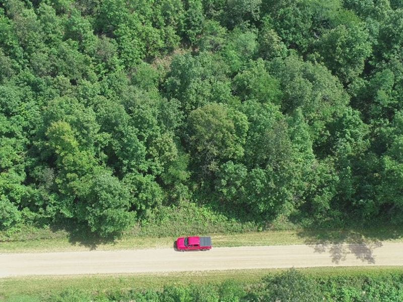 3 Acres On Public Land : Birch Tree : Shannon County : Missouri