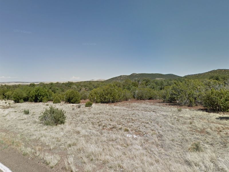 Rough Diamond in Apache County, AZ : Concho : Apache County : Arizona