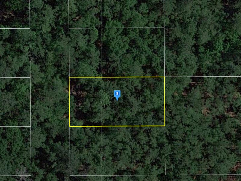 .25 Acre in Suwannee County, FL : Live Oak : Suwannee County : Florida