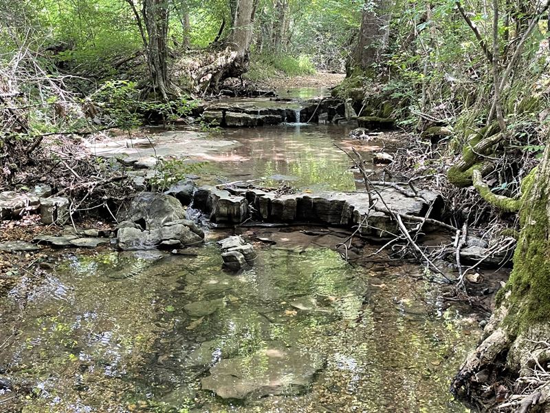 26.5 Acres Russellville : Russellville : Franklin County : Alabama