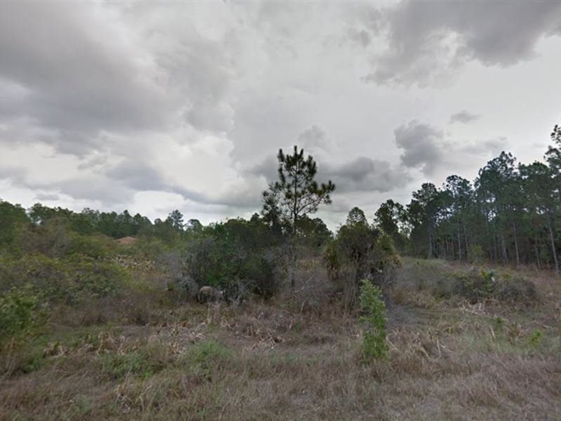 Get Out Of The City Rush : Lehigh Acres : Lee County : Florida