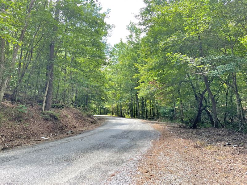Camp Branch Road Tract 1 : West Blocton : Bibb County : Alabama