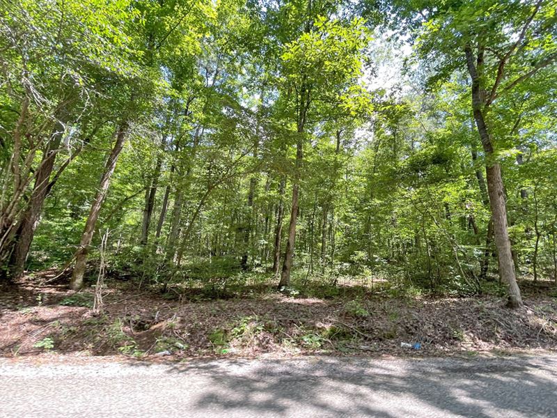 Camp Branch Road Tract 3 : West Blocton : Bibb County : Alabama