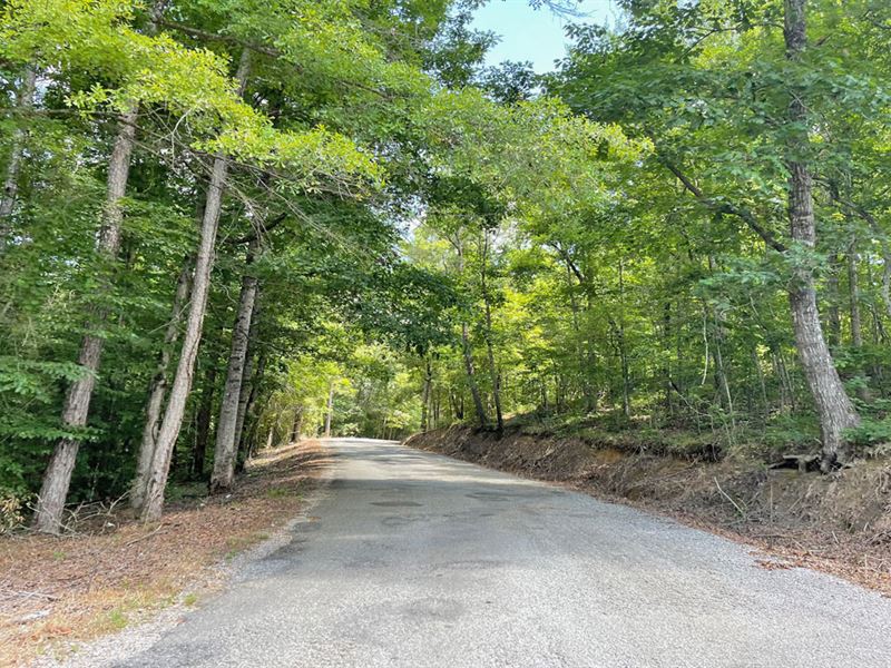 Camp Branch Road Tract 4 : West Blocton : Bibb County : Alabama