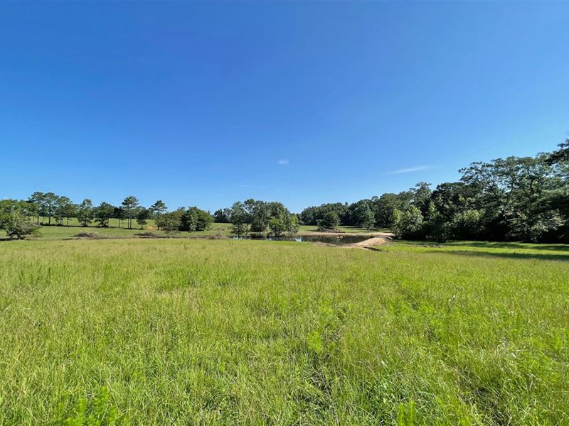 Evergreen Airport Tract : Evergreen : Conecuh County : Alabama