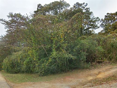 .40 Acres in Etowah County, AL : Black Creek : Etowah County : Alabama