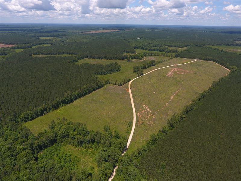 Pea Vine Road Tract : Chappells : Saluda County : South Carolina