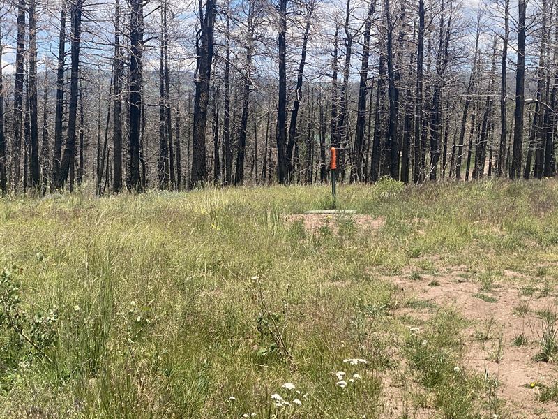 Colorado is Calling You : Fort Garland : Costilla County : Colorado