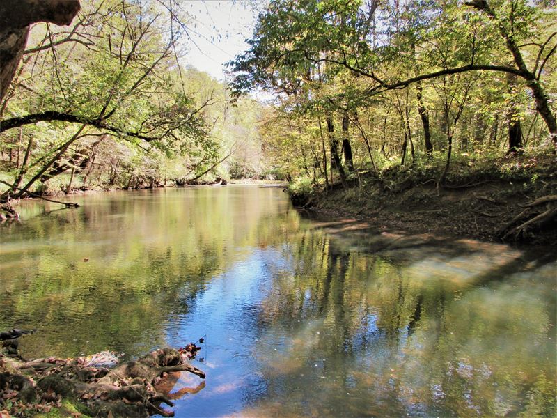 Sewee Ridge : Decatur : Meigs County : Tennessee