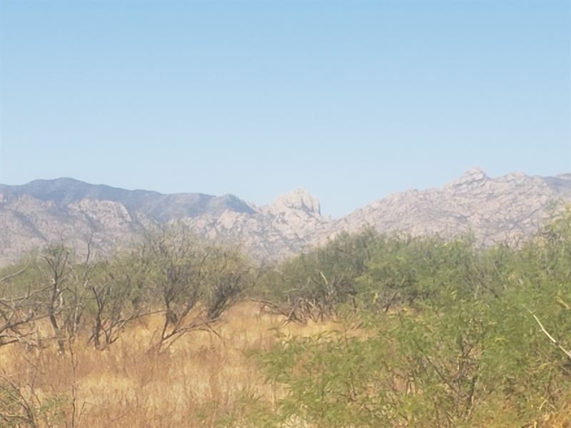 Set Your Sights on Arizona Sun Site : Cochise : Cochise County : Arizona