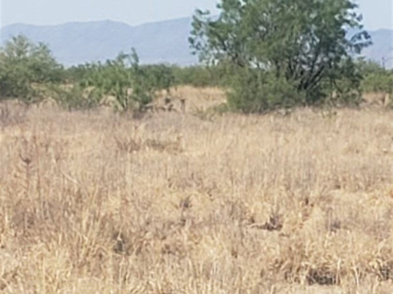Twin Lakes Await : Willcox : Cochise County : Arizona