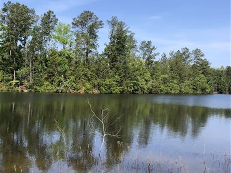 Beautiful Property with Home & Pond : Jeffersonville : Twiggs County : Georgia