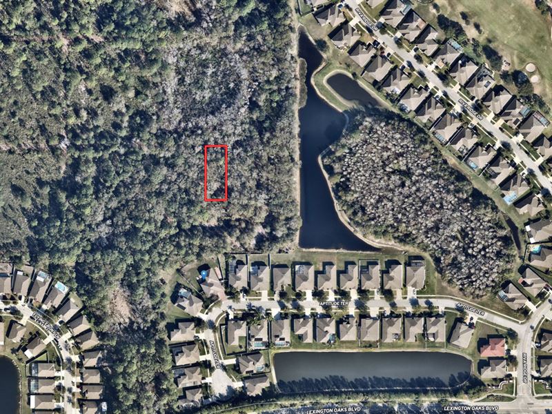 Tampa Downs Ranchettes Ag Zoned : Land O Lakes : Pasco County : Florida