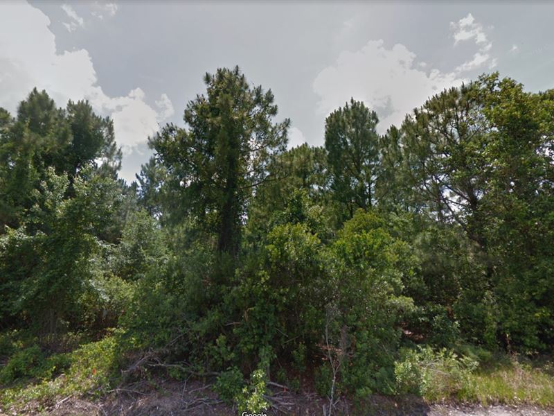 Central Lakes Estates South $99/Dwn : Frostproof : Polk County : Florida