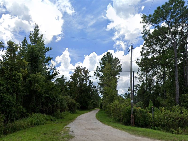 Hunting Camp Property : Daytona Beach : Volusia County : Florida