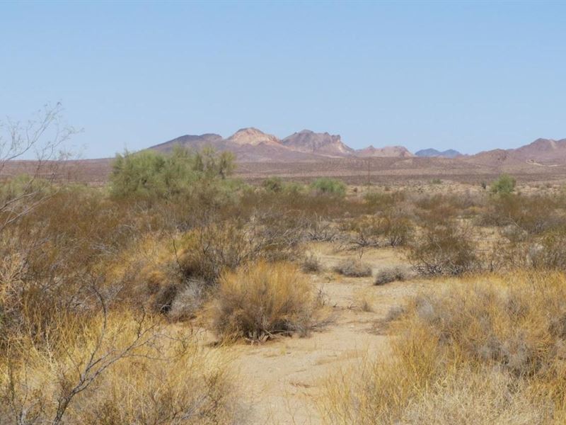 1.03 Acres for Sale in Topock, AZ : Topock : Mohave County : Arizona