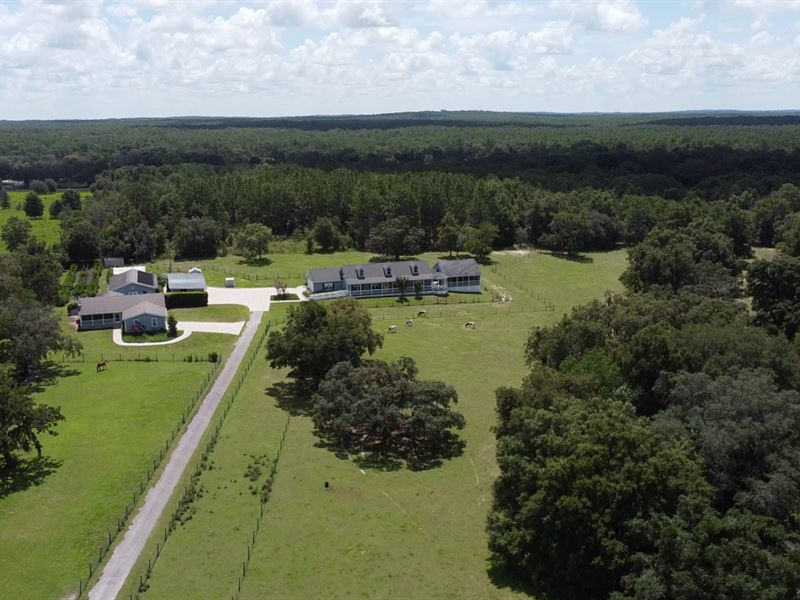Dazzling Equestrian Estate on 41 Ac : Lecanto : Citrus County : Florida