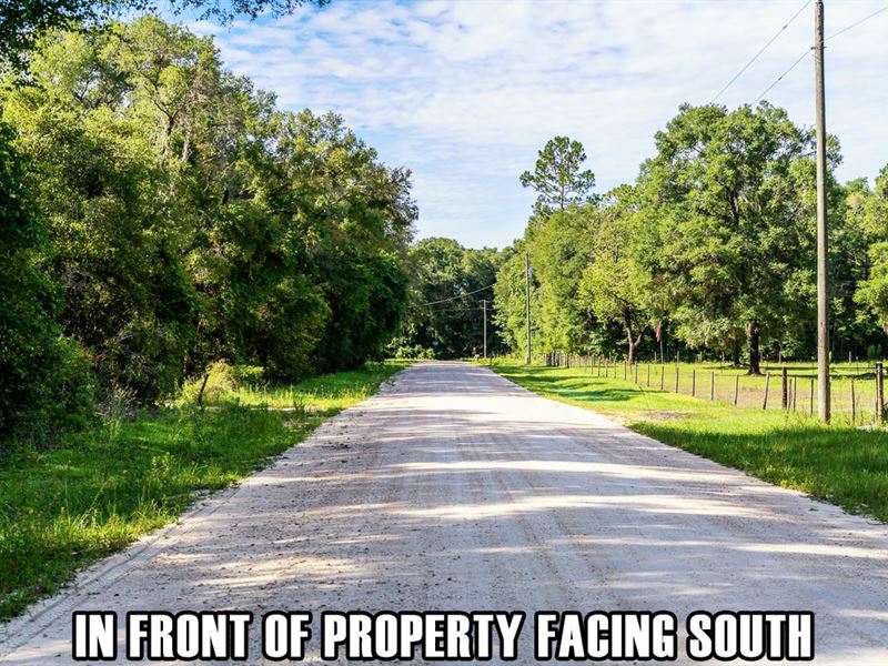Amenities & Rec Area Nearby : Old Town : Dixie County : Florida