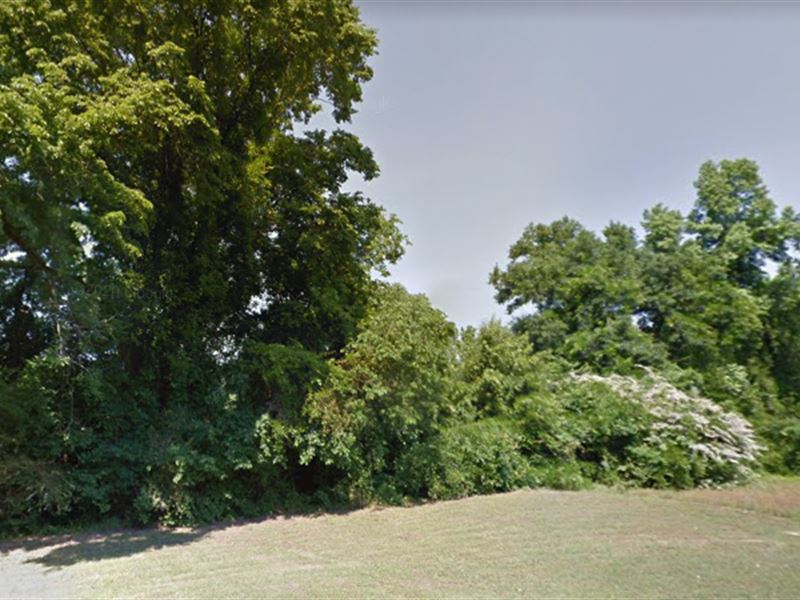 Cozy Wooded Lot, Fsbo : Rockingham : Richmond County : North Carolina