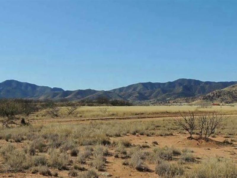 Buildable Land, Beautiful View : Pearce : Cochise County : Arizona
