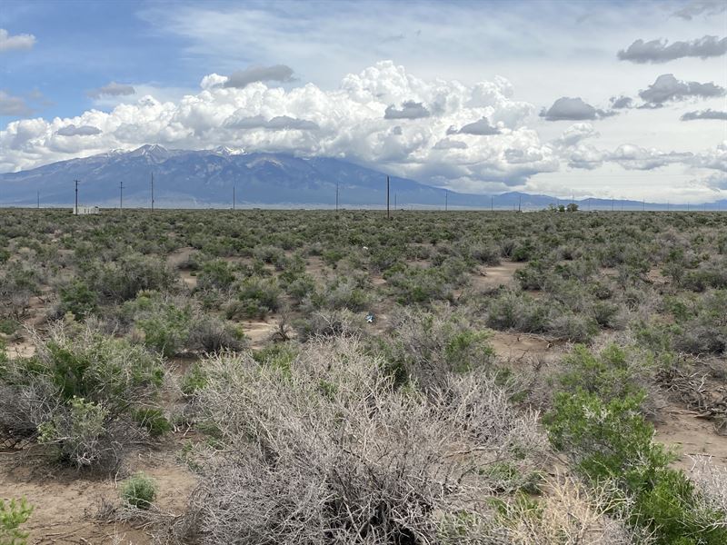 Tiny Home Lot : Alamosa : Alamosa County : Colorado