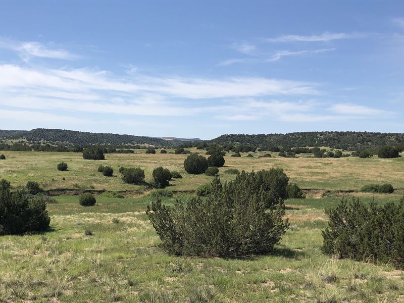 Abbey Road Ranch : Pueblo : Pueblo County : Colorado