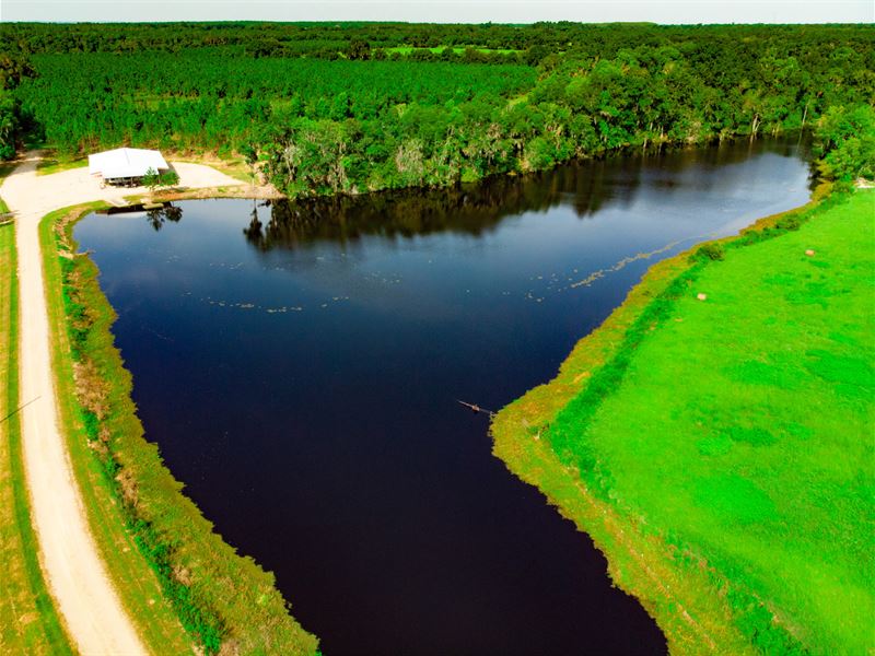 109 Ac Homesite, Lake in S. GA : Valdosta : Lowndes County : Georgia