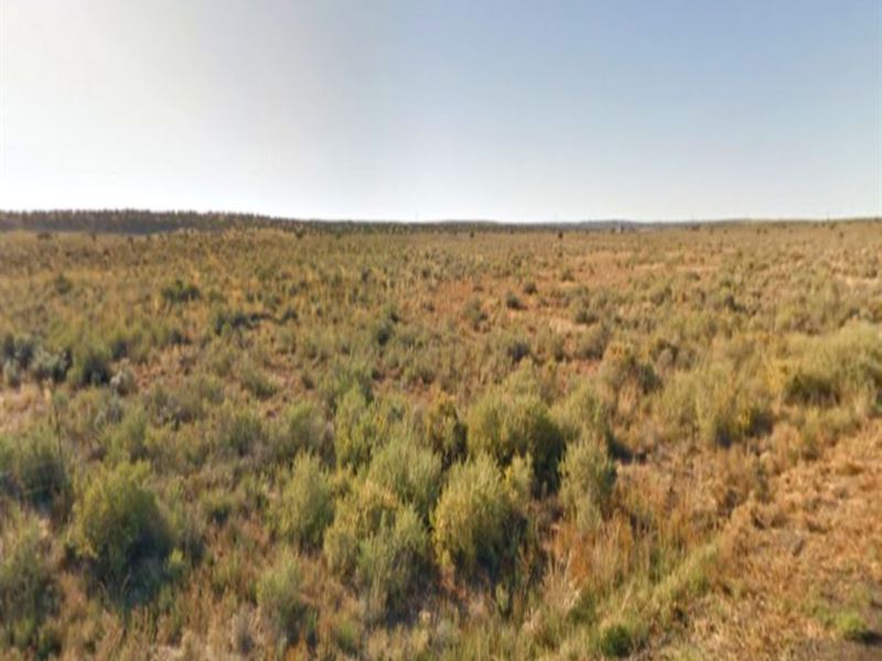 Park Your RV on This 1 Acre : Chambers : Apache County : Arizona