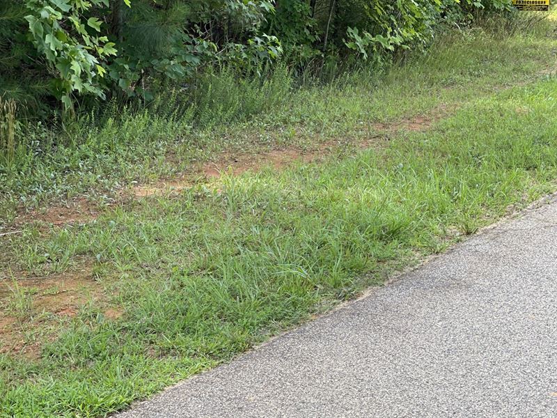 .46 Acres for Sale in Woodleaf, NC : Woodleaf : Rowan County : North Carolina