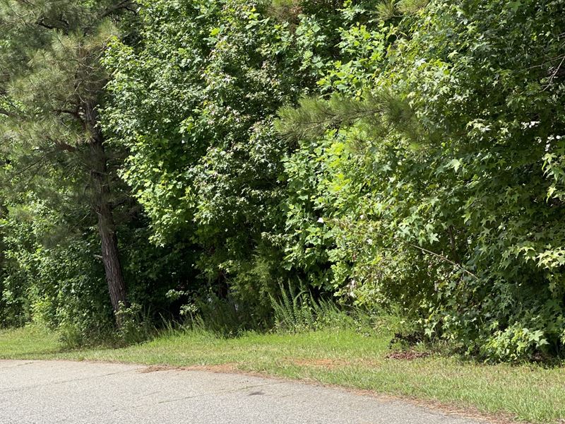 .51 Acres for Sale in Woodleaf, NC : Woodleaf : Rowan County : North Carolina