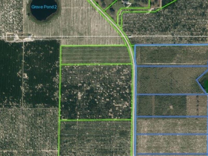 2 Tracts From 10.88 Ac To 11.11 Ac : Sebring : Highlands County : Florida