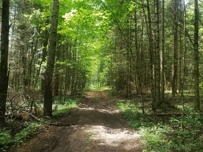 Balsam Crossing : Diana : Lewis County : New York