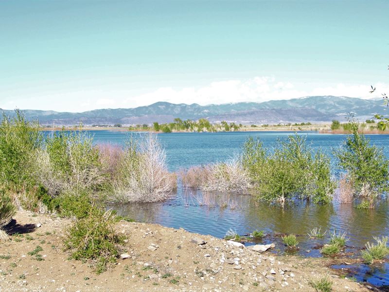1 Acre Land in CO Just $99 Down : Alamosa : Alamosa County : Colorado