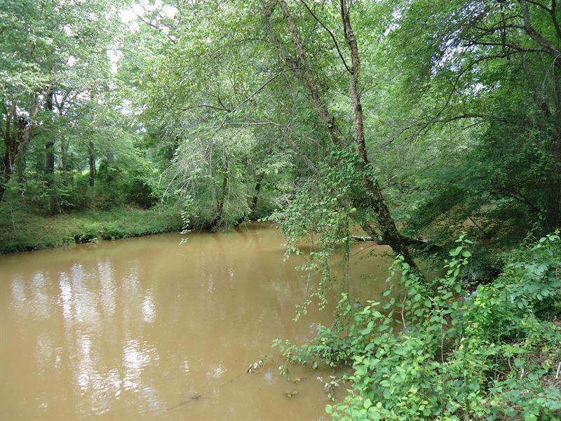 Gorgeous Potato Creek Property : Thomaston : Upson County : Georgia