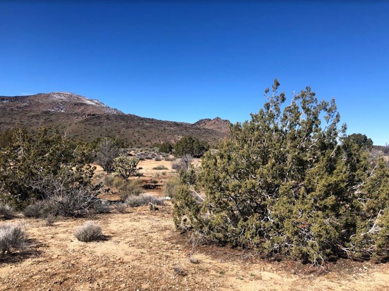 Beautiful Golden Valley, AZ Lot : Golden Valley : Mohave County : Arizona